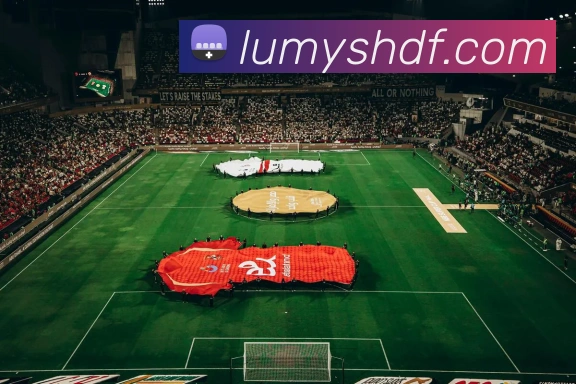 巅峰国际服务体系